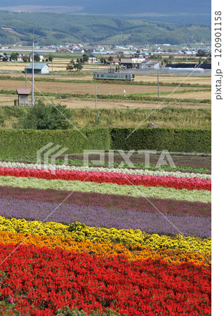 花街道富良野線を行く普通列車　H100　DECMO 120901158