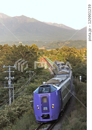 フラノラベンダーエクスプレス　キハ261系　ラベンダー編成 120901239