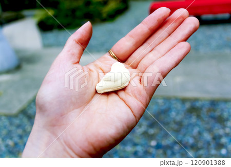 【神奈川】晩秋の鎌倉円覚寺　開基廟でいただくお干菓子を持つ女性の手 120901388