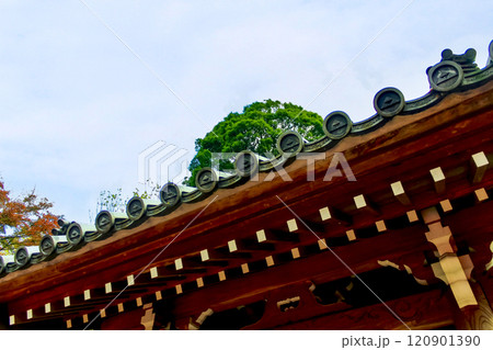 【神奈川】晩秋の鎌倉円覚寺 開基廟の門の上の軒先 【神奈川】晩秋の鎌倉円覚寺 開基廟の門の上の軒先 120901390