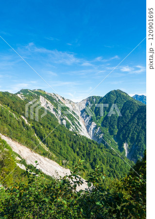 夏の烏帽子岳・南沢岳登山(ブナ立尾根から不動岳・不動岳崩壊地・南沢岳を望む) 夏の烏帽子岳・南沢岳登山(ブナ立尾根から不動岳・不動岳崩壊地・南沢岳を望む) 120901695