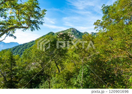 夏の烏帽子岳・南沢岳登山(ブナ立尾根から三ッ岳を望む) 夏の烏帽子岳・南沢岳登山(ブナ立尾根から三ッ岳を望む) 120901696