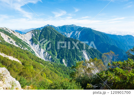 夏の烏帽子岳・南沢岳登山（ブナ立尾根から不動岳・針ノ木岳・蓮華岳・北葛岳・七倉岳を望む） 120901700