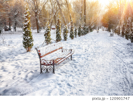 Breathtaking view of park bench and trees covered by heavy snow. 120901747