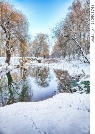 Breathtaking landscape in city park with snowy trees and beautiful reflection in frozen river. Breathtaking landscape in city park with snowy trees and beautiful reflection in frozen river. 120901748