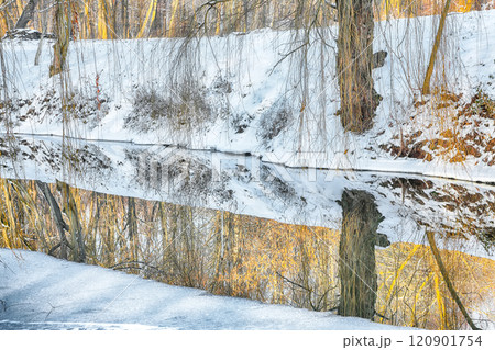 Picturesque landscape in city park with snowy trees and beautiful mirror reflection in frozen river. Picturesque landscape in city park with snowy trees and beautiful mirror reflection in frozen river. 120901754