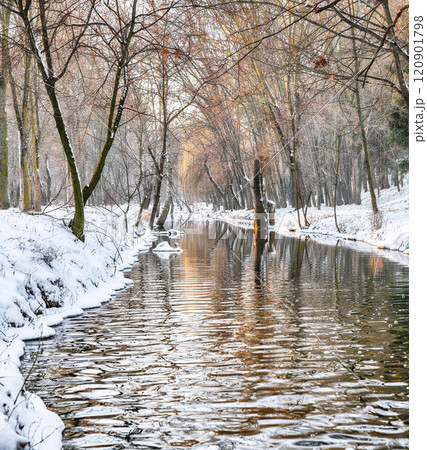 Picturesque landscape in city park with snowy trees and beautiful reflection in frozen river. 120901798