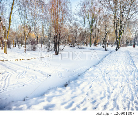 Breathtaking landscape with snow-covered trees in the city park. 120901807