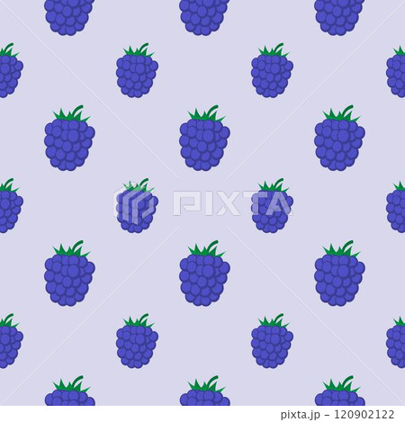 Seamless pattern with blackberry. Vector illustration. 120902122