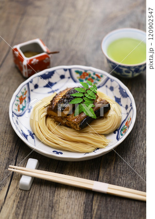 焼鯖そうめん 120902547