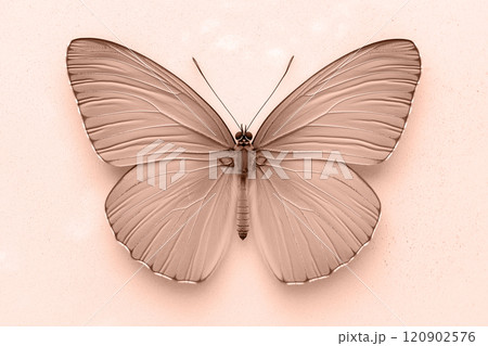 Mocha mousse beige butterfly perched on a seamless light surface 120902576