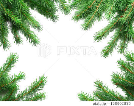 Christmas frame made of green spruce branches with place for text. Copyspace transparent 120902856