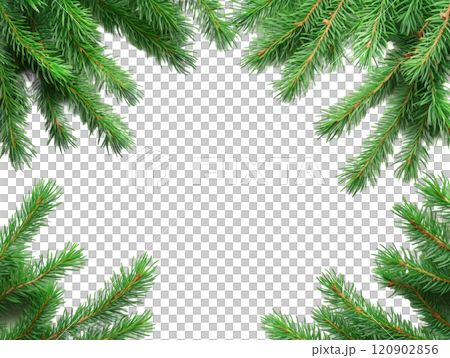 Christmas frame made of green spruce branches with place for text. Copyspace transparent 120902856