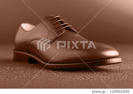 Elegant mocha mousse brown formal shoe with polished leather finish on textured surface. Modern trendy tone hue shade 120902895