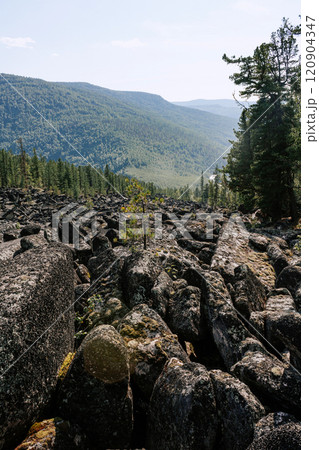 A scattering of large stones among the forest. A scattering of large stones among the forest. 120904347