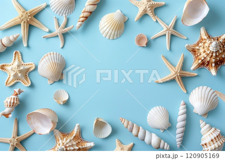 Summer time concept Flat lay composition with beautiful starfish and sea shells on blue background. Copyspace 120905169