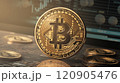 ビットコインと黄金の光に輝くビット 120905476