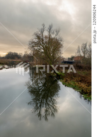 A tree gives a beautiful reflection in a river. A dark sky with clouds in the background A tree gives a beautiful reflection in a river. A dark sky with clouds in the background 120906244