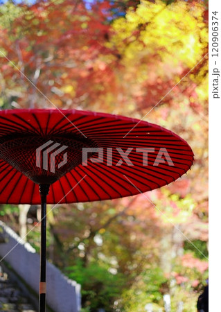 定福寺の紅葉　高知 120906374