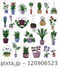 Set of Hand drawn cute illustration of plants in pot. Home plant icon. 120906523