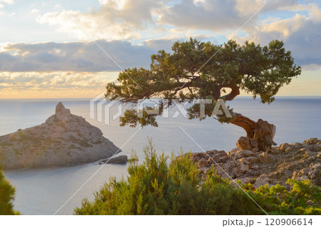 Beautiful scenery, Southern coast of Crimea, Karaul Oba, New World. Beautiful scenery, Southern coast of Crimea, Karaul Oba, New World. 120906614