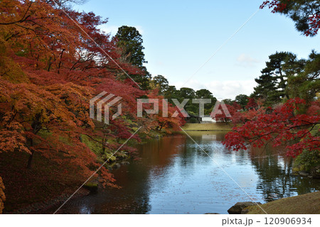 秋の京都仙洞御所　北池のモミジ(京都市上京区) 120906934