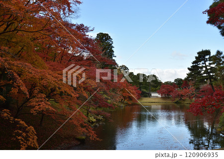 秋の京都仙洞御所 北池のモミジ(京都市上京区) 秋の京都仙洞御所 北池のモミジ(京都市上京区) 120906935