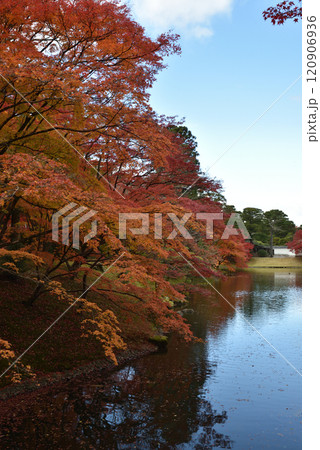秋の京都仙洞御所 北池のモミジ(京都市上京区) 秋の京都仙洞御所 北池のモミジ(京都市上京区) 120906936