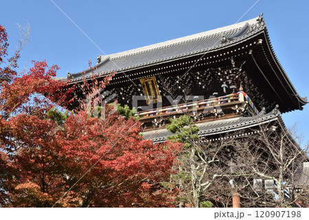 大本山金戒光明寺 山門(楼門) 秋季 大本山金戒光明寺 山門(楼門) 秋季 120907198