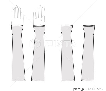 Gauntlets Gloves Elbow length Fashion hand accessory clothing technical illustration garment. Vector front palm back Gauntlets Gloves Elbow length Fashion hand accessory clothing technical illustration garment. Vector front palm back 120907757