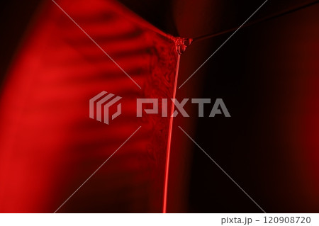 Red reflections of liquid in macro, red liquid surface, bubbles in macro, connection of bubbles in macro, cell from liquid, horror background, glossy panels Red reflections of liquid in macro, red liquid surface, bubbles in macro, connection of bubbles in macro, cell from liquid, horror background, glossy panels 120908720