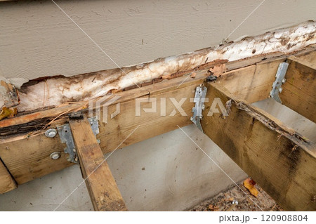 Deck Ledger Board Incorrectly Installed over Wood Siding has led to Extensive Dry Rot and Damage Deck Ledger Board Incorrectly Installed over Wood Siding has led to Extensive Dry Rot and Damage 120908804