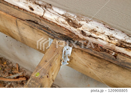 Deck Ledger Board Incorrectly Installed over Wood Siding has led to Extensive Dry Rot and Damage 120908805