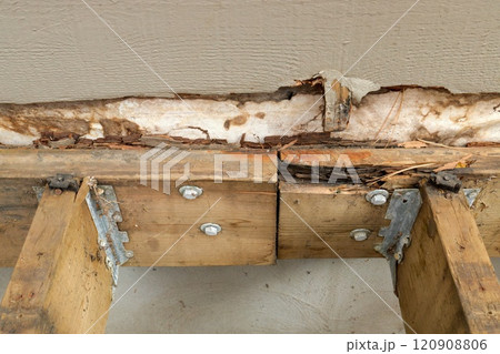 Deck Ledger Board Incorrectly Installed over Wood Siding has led to Extensive Dry Rot and Damage Deck Ledger Board Incorrectly Installed over Wood Siding has led to Extensive Dry Rot and Damage 120908806