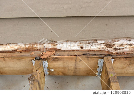 Deck Ledger Board Incorrectly Installed over Wood Siding has led to Extensive Dry Rot and Damage 120908830