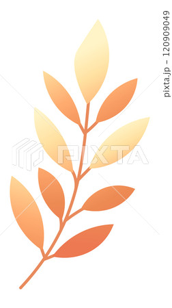 Gradient orange and yellow leaves growing on a delicate branch, exuding a warm and inviting autumnal atmosphere, ideal for enhancing nature themed designs and decorations 120909049