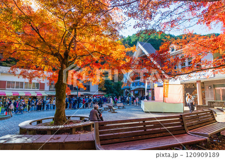 秋の高尾山　朝日が差し込む京王線清滝駅前 120909189