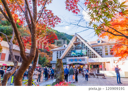 秋の高尾山 朝日が差し込む京王線清滝駅前 秋の高尾山 朝日が差し込む京王線清滝駅前 120909191
