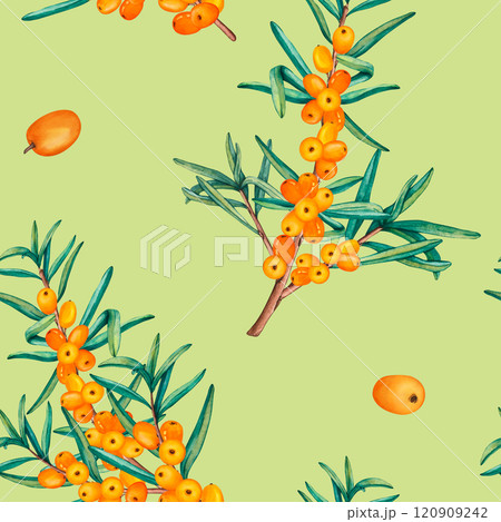 Seamless pattern of sea buckthorn branches. Watercolor seamless pattern of ripe orange berries and leaves. Wallpaper illustration for wrapping paper, weaving or product labels 120909242