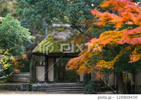 俳聖殿　三重県伊賀市 120909430
