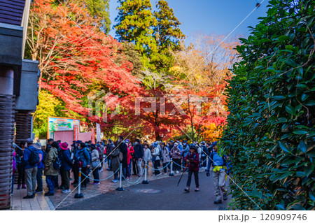 秋の高尾山　朝日が差し込む京王線清滝駅前 120909746