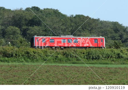 夏景色を駆け抜ける花咲線ラッピング車両　JR北海道一般形気動車　H100　DECMO 120910119
