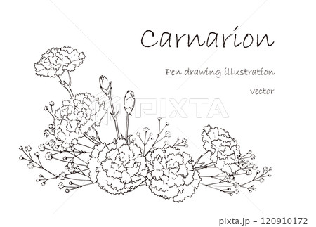 カーネーションのペン画の飾り カーネーションのペン画の飾り 120910172