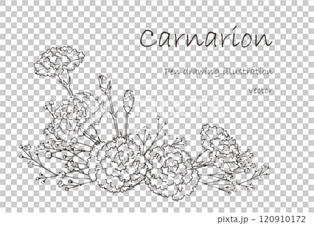 カーネーションのペン画の飾り カーネーションのペン画の飾り 120910172