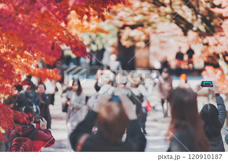 南禅寺の紅葉を見に来た旅行者 南禅寺の紅葉を見に来た旅行者 120910187