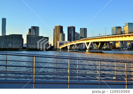 豊洲ぐるり公園から観る晴海フラッグと高層マンション 120910569