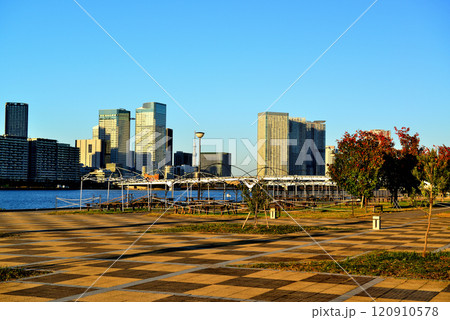 豊洲ぐるり公園から観る晴海フラッグと高層マンション 120910578