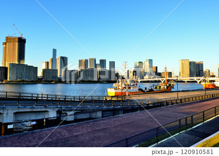 豊洲ぐるり公園から観る晴海フラッグと高層マンション 豊洲ぐるり公園から観る晴海フラッグと高層マンション 120910581