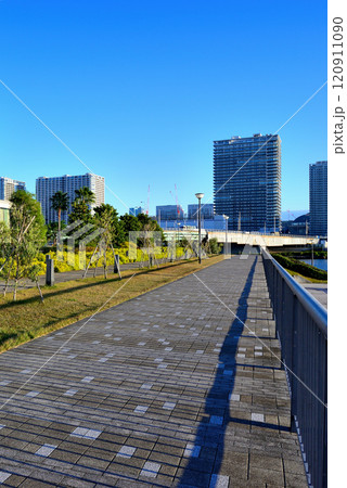 豊洲ぐるり公園 BBQ広場とレインボーブリッジ 豊洲ぐるり公園 BBQ広場とレインボーブリッジ 120911090