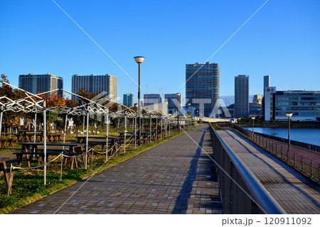豊洲ぐるり公園 BBQ広場とレインボーブリッジ 豊洲ぐるり公園 BBQ広場とレインボーブリッジ 120911092